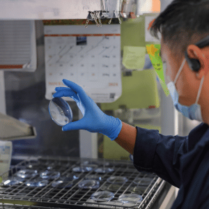 quality assurance at every step of the way in this family operated wholesale lens lab quality assurance at every step of the way in this family operated wholesale lens lab